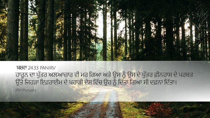 ਯਸ਼ਵਾ 24:33 PANIRV Bible Verse Image