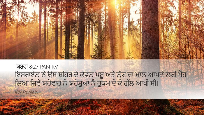 ਯਸ਼ਵਾ 8:27 PANIRV Bible Verse Image