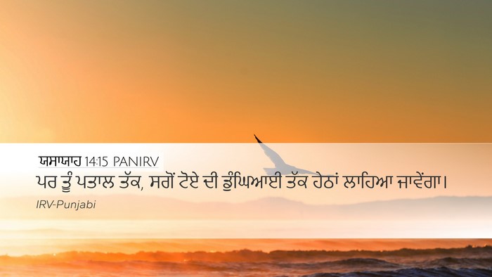ਯਸਾਯਾਹ 14:15 PANIRV Bible Verse Image