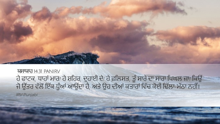 ਯਸਾਯਾਹ 14:31 PANIRV Bible Verse Image