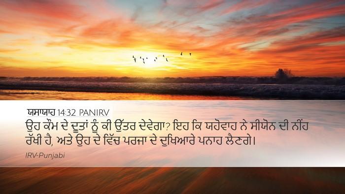 ਯਸਾਯਾਹ 14:32 PANIRV Bible Verse Image