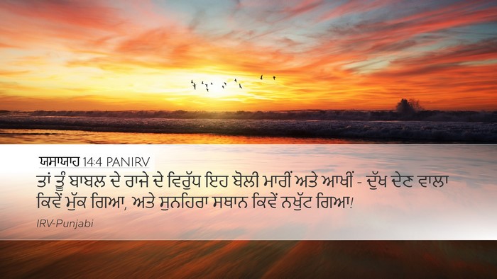 ਯਸਾਯਾਹ 14:4 PANIRV Bible Verse Image
