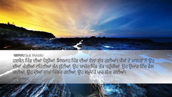ਯਸਾਯਾਹ 16:8 PANIRV Bible Verse Image