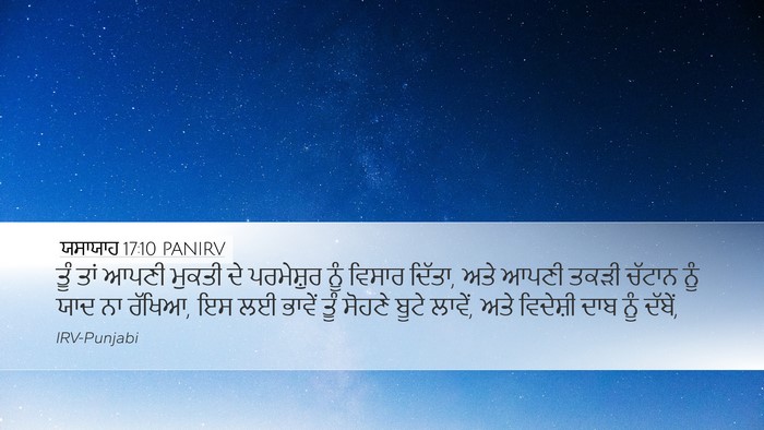 ਯਸਾਯਾਹ 17:10 PANIRV Bible Verse Image