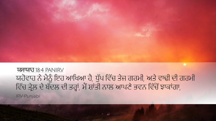 ਯਸਾਯਾਹ 18:4 PANIRV Bible Verse Image