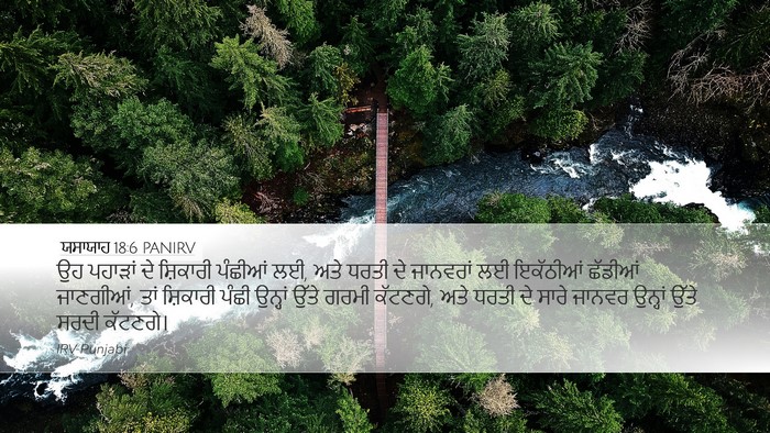 ਯਸਾਯਾਹ 18:6 PANIRV Bible Verse Image