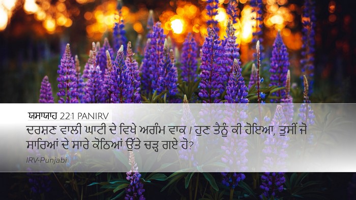ਯਸਾਯਾਹ 22:1 PANIRV Bible Verse Image
