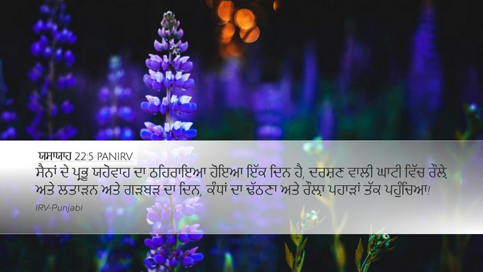 ਯਸਾਯਾਹ 22:5 PANIRV Bible Verse Image