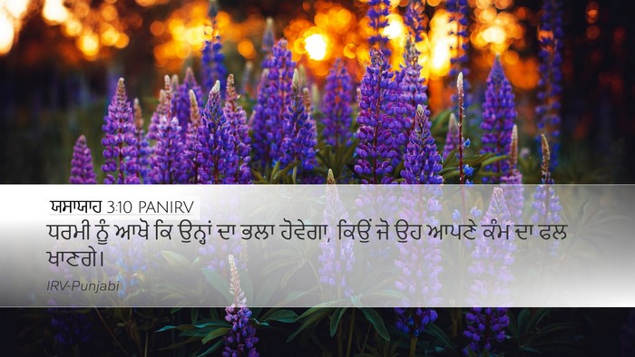 ਯਸਾਯਾਹ 3:10 PANIRV Bible Verse Image