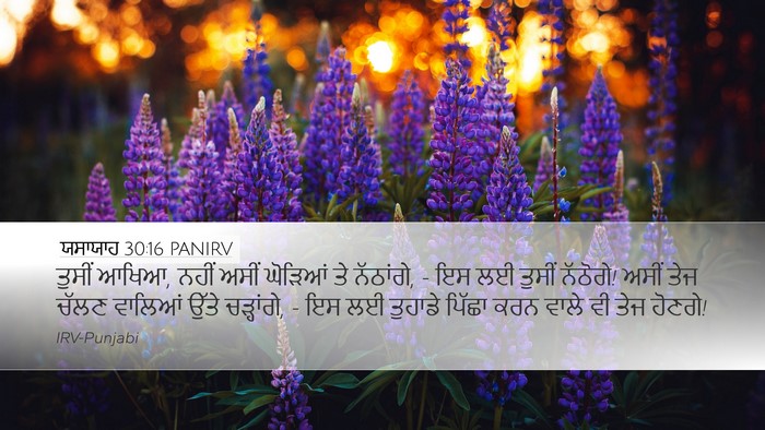 ਯਸਾਯਾਹ 30:16 PANIRV Bible Verse Image