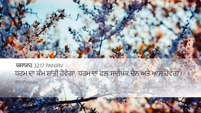 ਯਸਾਯਾਹ 32:17 PANIRV Bible Verse Image