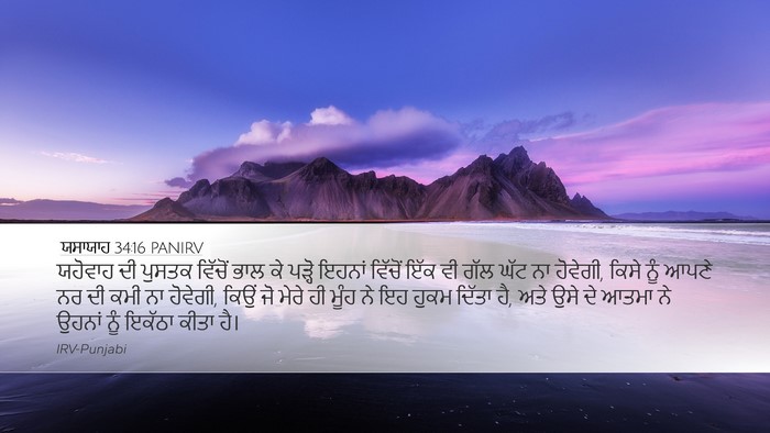 ਯਸਾਯਾਹ 34:16 PANIRV Bible Verse Image