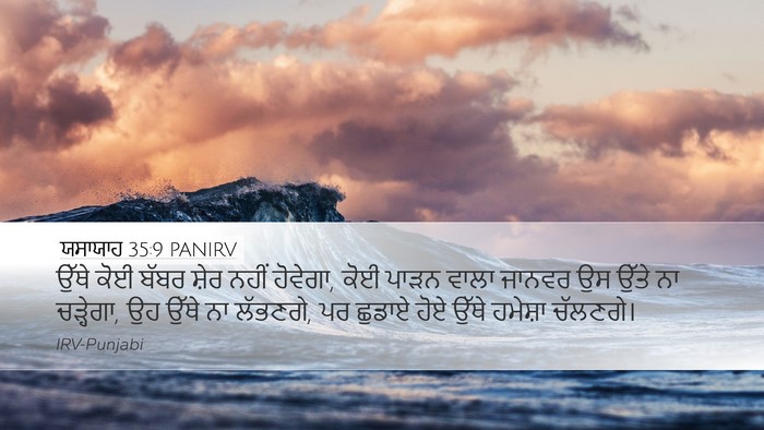 ਯਸਾਯਾਹ 35:9 PANIRV Bible Verse Image