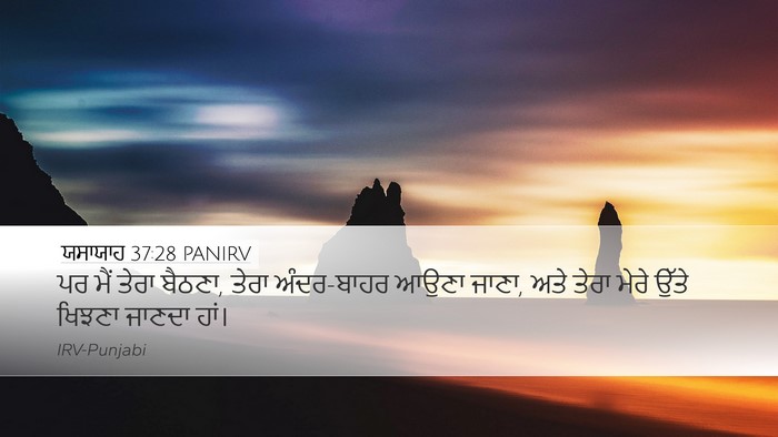 ਯਸਾਯਾਹ 37:28 PANIRV Bible Verse Image