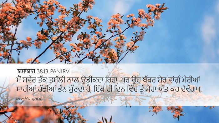 ਯਸਾਯਾਹ 38:13 PANIRV Bible Verse Image