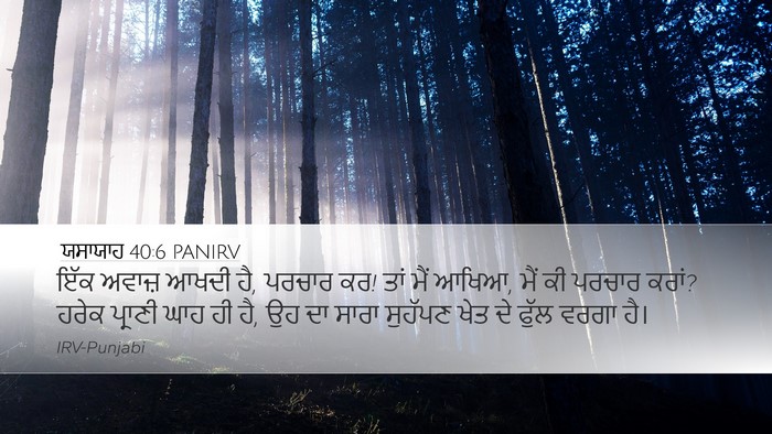 ਯਸਾਯਾਹ 40:6 PANIRV Bible Verse Image