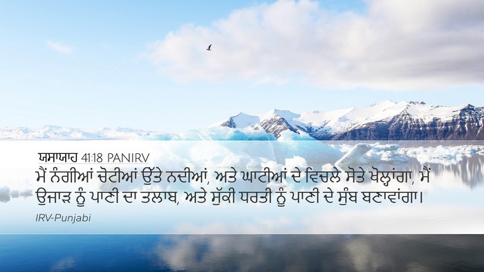 ਯਸਾਯਾਹ 41:18 PANIRV Bible Verse Image