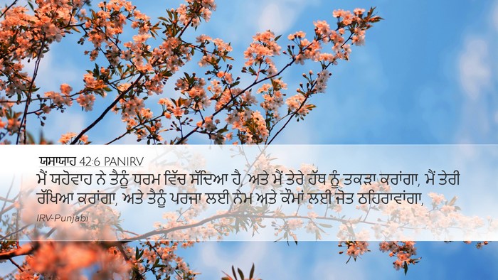 ਯਸਾਯਾਹ 42:6 PANIRV Bible Verse Image