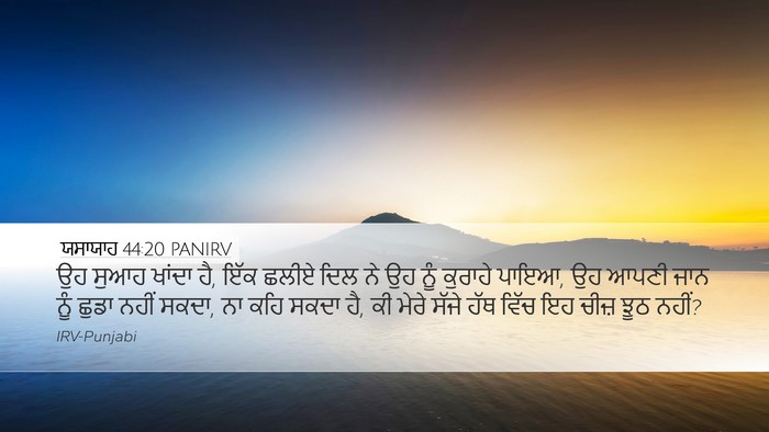 ਯਸਾਯਾਹ 44:20 PANIRV Bible Verse Image