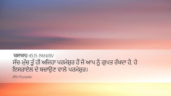 ਯਸਾਯਾਹ 45:15 PANIRV Bible Verse Image