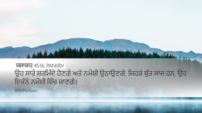 ਯਸਾਯਾਹ 45:16 PANIRV Bible Verse Image
