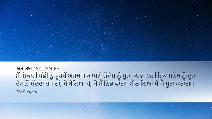 ਯਸਾਯਾਹ 46:11 PANIRV Bible Verse Image