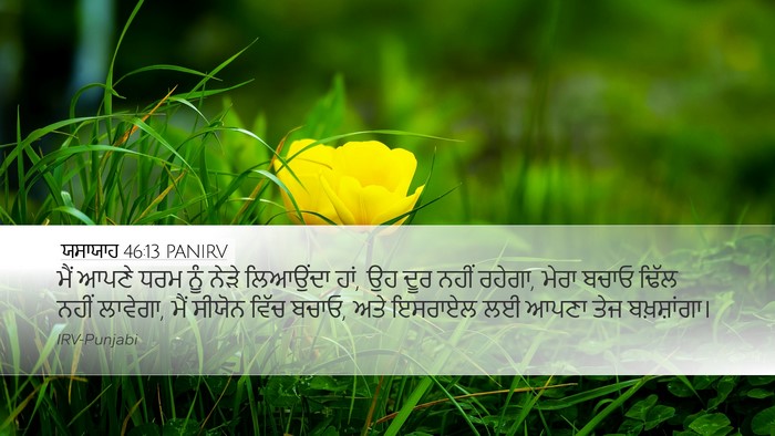 ਯਸਾਯਾਹ 46:13 PANIRV Bible Verse Image