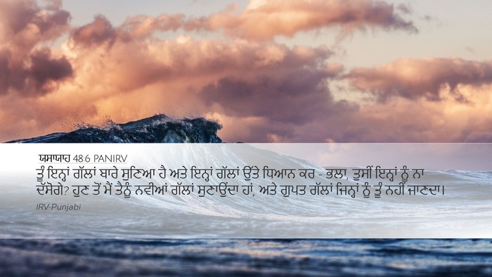 ਯਸਾਯਾਹ 48:6 PANIRV Bible Verse Image