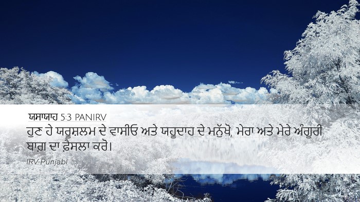 ਯਸਾਯਾਹ 5:3 PANIRV Bible Verse Image