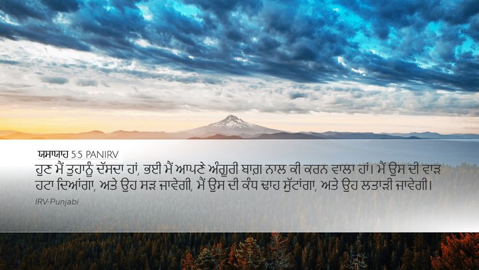 ਯਸਾਯਾਹ 5:5 PANIRV Bible Verse Image