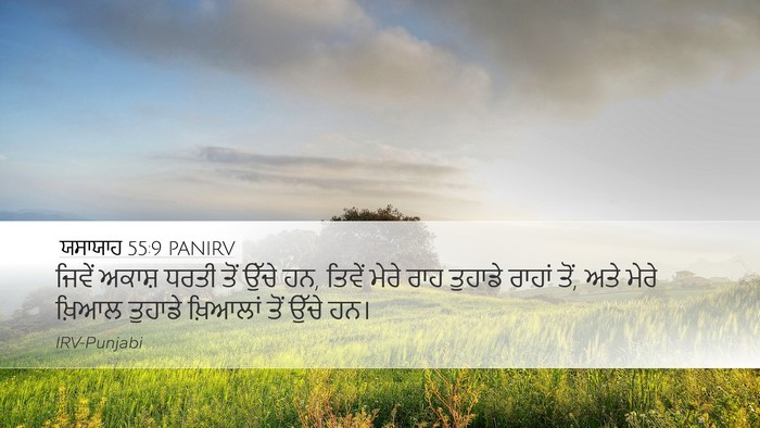 ਯਸਾਯਾਹ 55:9 PANIRV Bible Verse Image