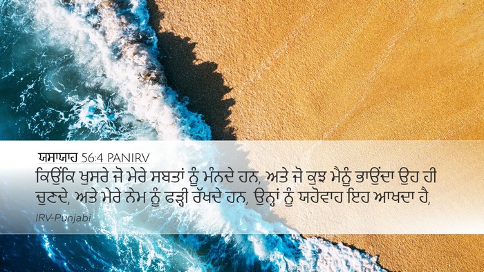 ਯਸਾਯਾਹ 56:4 PANIRV Bible Verse Image