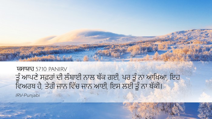 ਯਸਾਯਾਹ 57:10 PANIRV Bible Verse Image