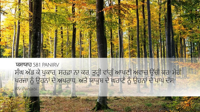 ਯਸਾਯਾਹ 58:1 PANIRV Bible Verse Image