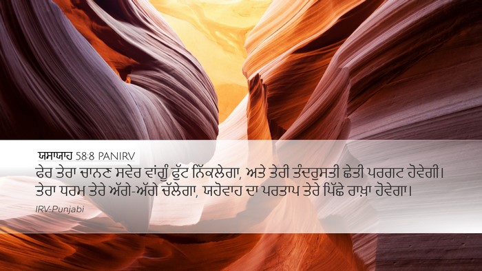 ਯਸਾਯਾਹ 58:8 PANIRV Bible Verse Image