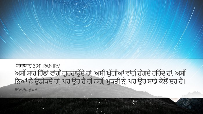 ਯਸਾਯਾਹ 59:11 PANIRV Bible Verse Image