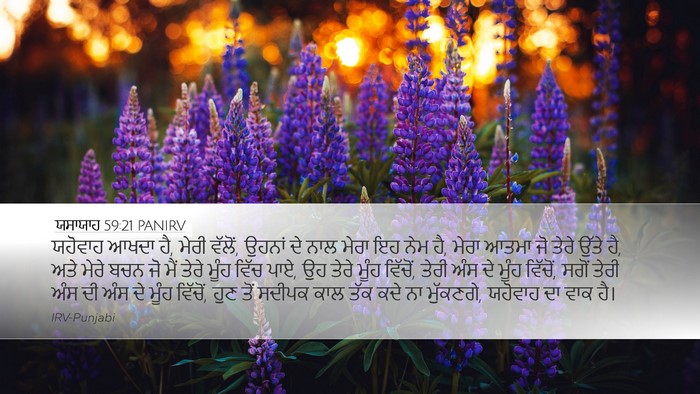 ਯਸਾਯਾਹ 59:21 PANIRV Bible Verse Image