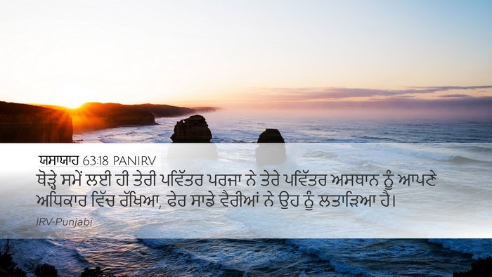 ਯਸਾਯਾਹ 63:18 PANIRV Bible Verse Image