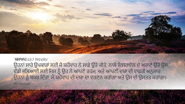 ਯਸਾਯਾਹ 63:7 PANIRV Bible Verse Image