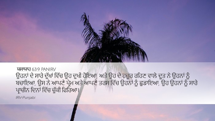 ਯਸਾਯਾਹ 63:9 PANIRV Bible Verse Image