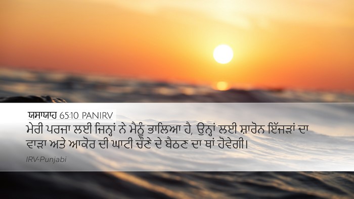 ਯਸਾਯਾਹ 65:10 PANIRV Bible Verse Image