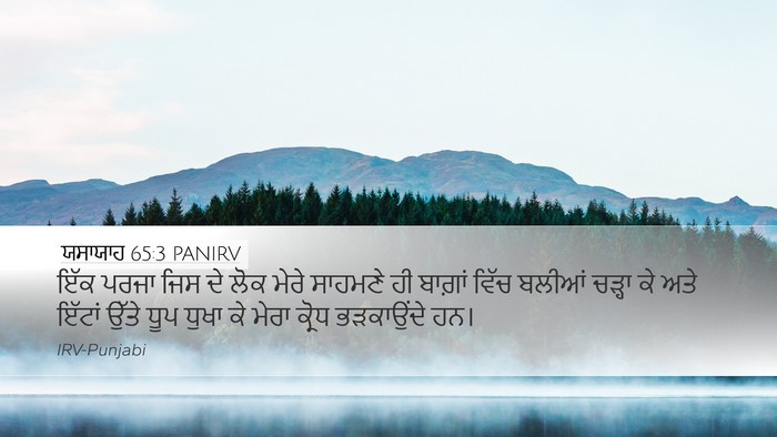 ਯਸਾਯਾਹ 65:3 PANIRV Bible Verse Image