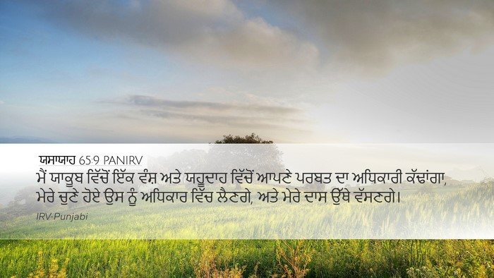 ਯਸਾਯਾਹ 65:9 PANIRV Bible Verse Image