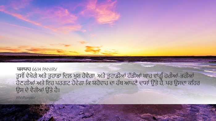 ਯਸਾਯਾਹ 66:14 PANIRV Bible Verse Image