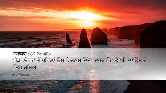 ਯਸਾਯਾਹ 66:7 PANIRV Bible Verse Image