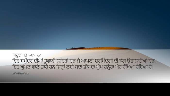 ਯਹੂਦਾ 1:13 PANIRV Bible Verse Image