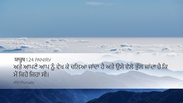 ਯਾਕੂਬ 1:24 PANIRV Bible Verse Image