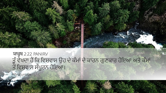 ਯਾਕੂਬ 2:22 PANIRV Bible Verse Image