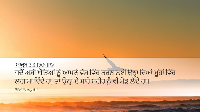 ਯਾਕੂਬ 3:3 PANIRV Bible Verse Image