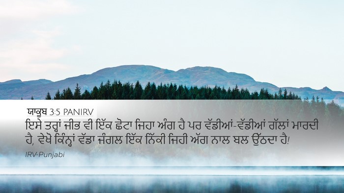 ਯਾਕੂਬ 3:5 PANIRV Bible Verse Image